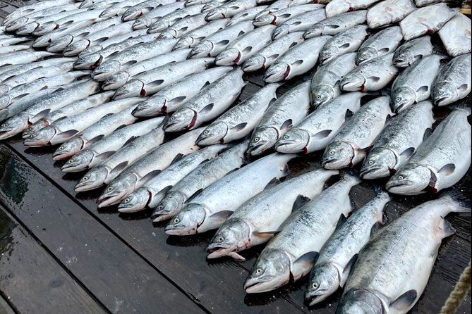 6 Hour Salmon Trip - Good To Know