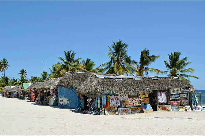 6 in 1 Full Day Isla Saona Tour and Snorkel in Natural Pool Mangroves Cap Cana - Tour Overview
