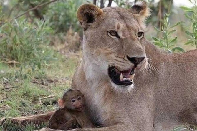 07-Days Murchison Falls, Queen Elizabeth & Gorillas Safari - Booking and Cancellation Policy