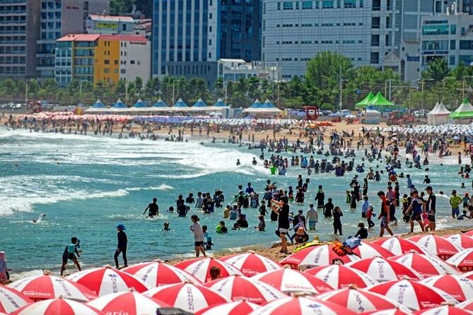 1-Day Busan and INCLUDED Night Tour - Pricing Information