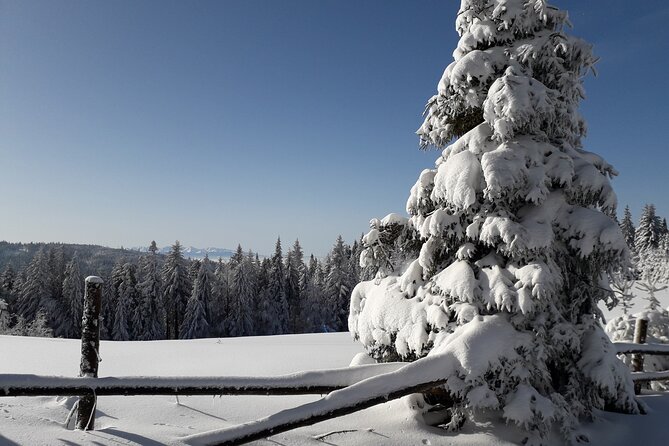 1-Day Private Snowshoe Hike in the Gorce Mountains Near Krakow - Booking and Cancellation Policy
