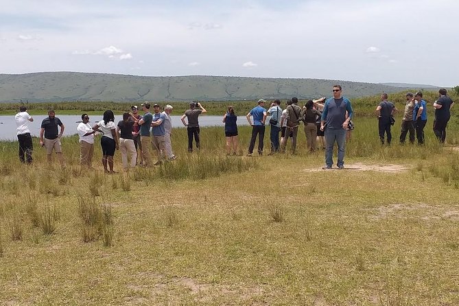 1 Day Safari to Akagera National Park - Travelers Feedback and Testimonials
