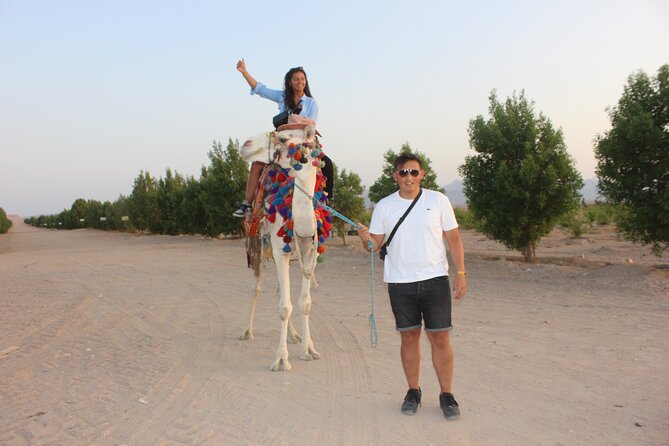 1 Hour Horse Ride and Jeep Adventure With Stargazing -Hurghada - Pricing and Payment Information