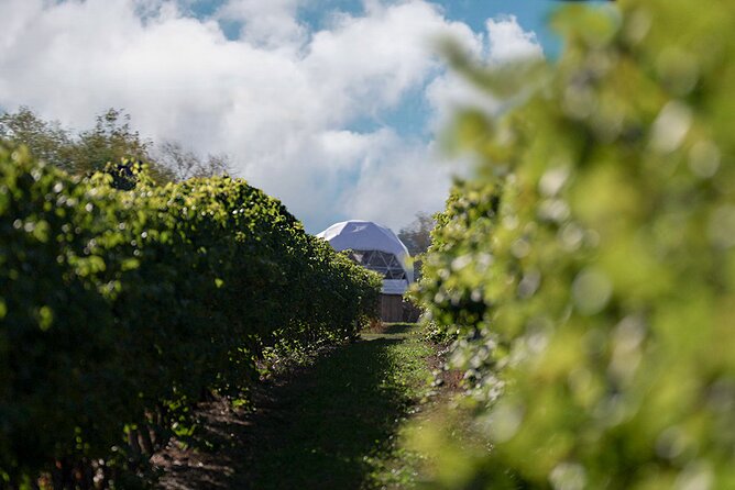 1 Hour Private Vineyard Dome Experience in Niagara-on-the-Lake - Ideal Occasions