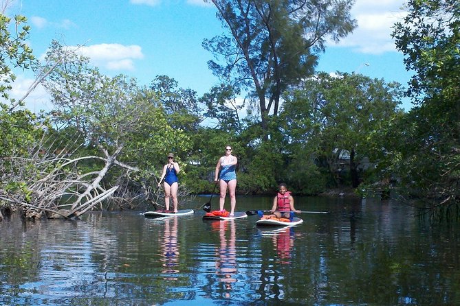 1 Hour Stand up Paddle Board Lesson for Beginners With 1 on 1 Instructor Guide - Lesson Content and Structure