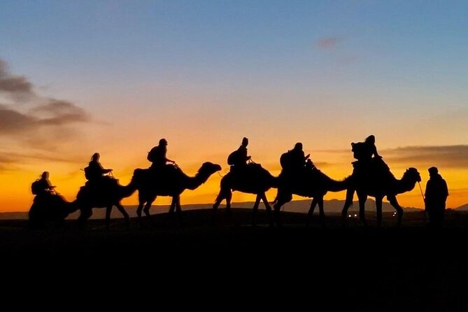 1 Night Camel Trekking in Merzouga - Important Logistics Information