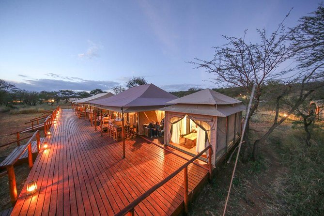 12 Days Amazing Tanzania Wildlife and Cultural Experience - Reviews and Testimonials