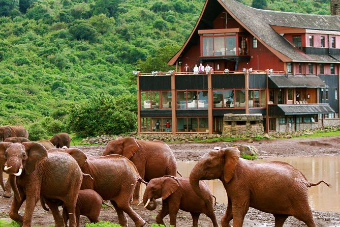 12-Days Best Of Kenya Big Five Wildlife Private Safari - Customizable Safari Itinerary Options