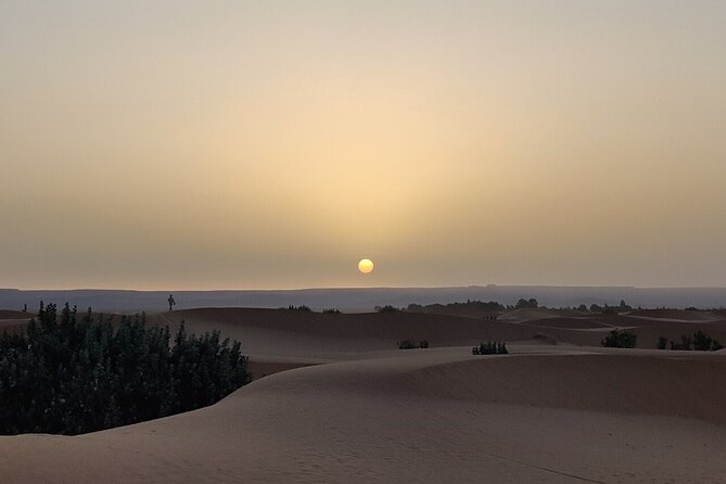 2 Day Luxury Desert Tour From Fes to Fes or Marrakech - Pricing and Booking Information