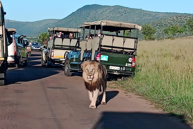 2 Day Pilanesberg Ultimate Luxury Safari - Reviews and Testimonials