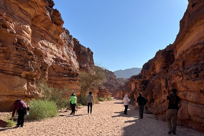 2 Day Private Desert Experience in Sinai - Important Considerations