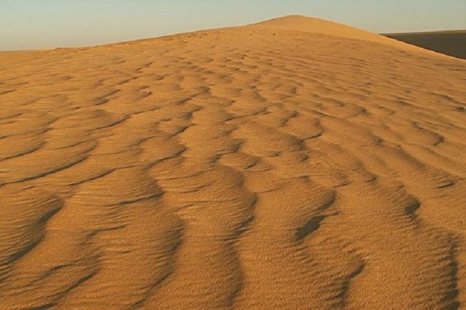 2 Day Safari in the White and Black Desert - Inclusions and Pricing