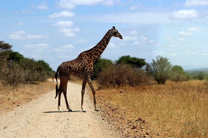 2 Days /1 Night Safari to Mikumi - Preparing for Your Safari