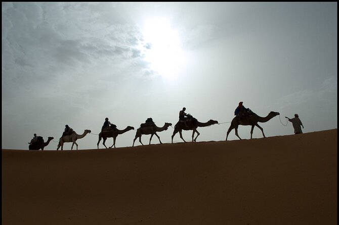 2 Days/1 Night Sahara Desert Trip: Fes - Merzouga - Fes - Customer Reviews and Tips