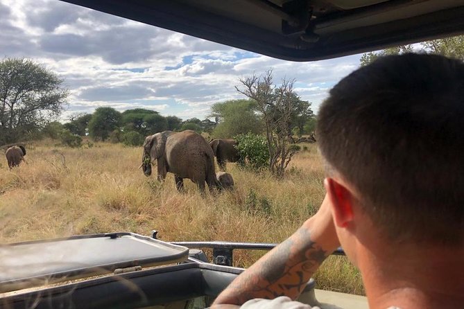 2-Days Private Midrange Safari; Tarangire & Ngorongoro Crater - Transportation and Airport Transfers
