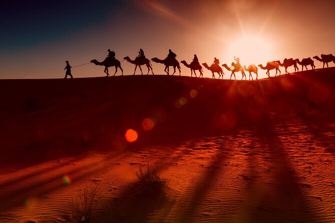 2 Days Tour | Petra, Wadi Rum, and Dead Sea From Amman. - Pricing and Inclusions