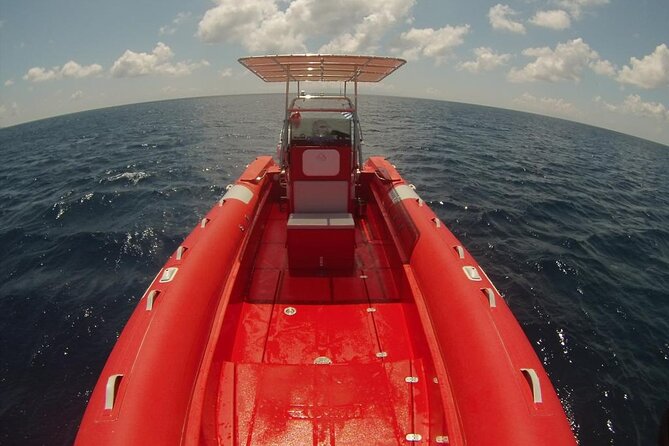 2-Hour Mykonos Private Sea Safari and Snorkeling on a Powerboat - Reviews and Customer Satisfaction