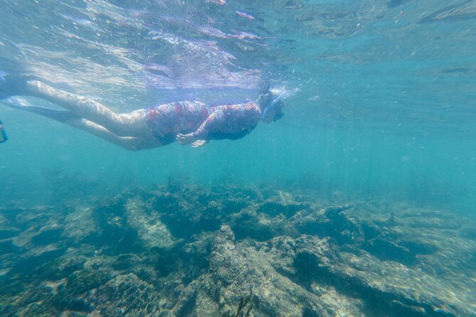 2-Hour Snorkeling in Two Spots of Tulums Reef - Accessibility and Group Size
