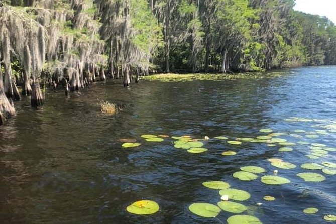 2-Hour Stand up Paddleboard Rental From Lake Buena Vista Area - Cancellation Policy