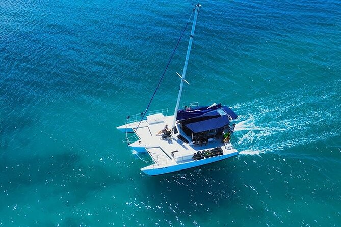 2 Hour Waikiki Whale Watching in Honolulu - Tips for a Great Tour