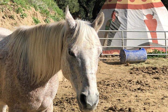 2 Hours Horseback Riding Adventure in Agoura Hills - Getting to the Ranch