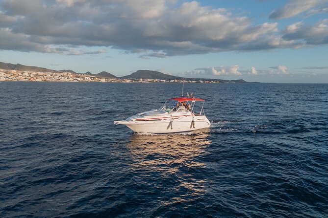 2 Hours Private Luxury Sunset Cruise in Tenerife - The Sum Up