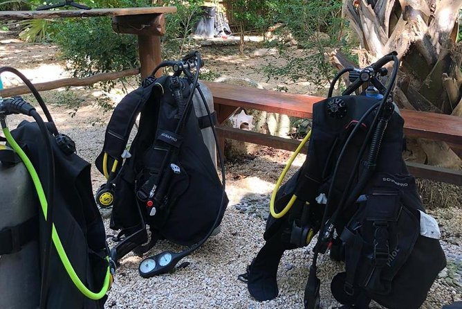 2 Tanks Cenote Diving Adventure in Tulum for Certified Divers - Skilled Dive Instructors