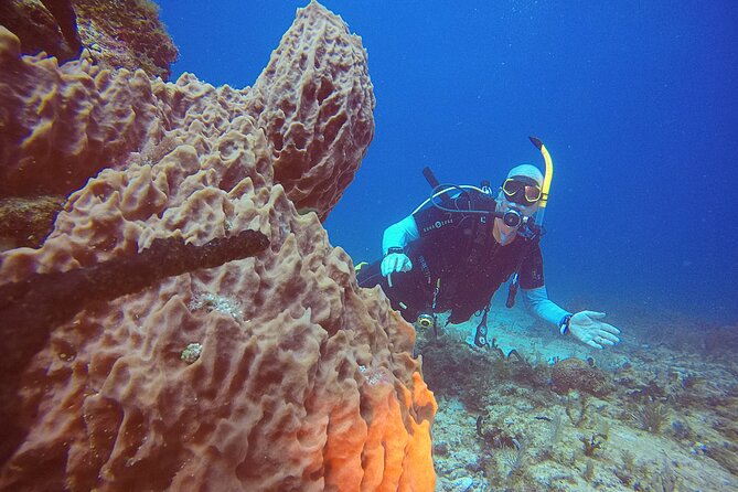 2 Tanks Scuba Diving in Punta Cancun Reefs for Certified Divers - Cancun Reefs