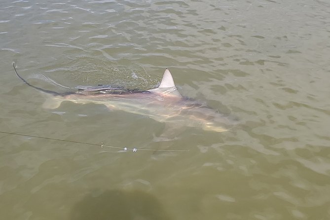 3/4 Day Fishing Charter Naples-Marco-Island-10,000-Islands-Everglades-Sanibel - Preparing for the Adventure