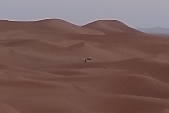 3-Day 2-Nights Desert Adventure and Berber Encounter - Important Considerations for Travelers