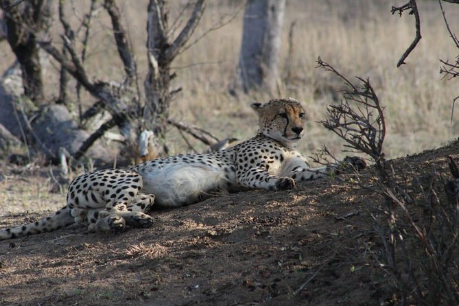 3 Day Greater Kruger National Park Adventure Safari - Preparing for the Safari