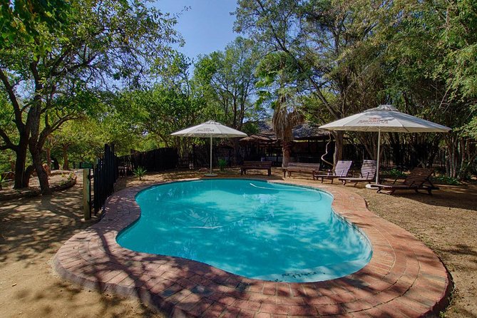 3 Day Lodge/Treehouse Kruger National Park Safari - Traveler Recommendations