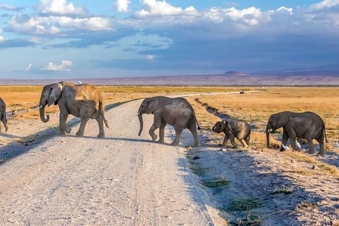 3-Day Ngorongoro Crater Manyara and Tarangire Safari From Arusha - Health Considerations