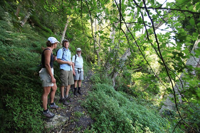 3-Day Private Hiking Trail in The Overberg - Guest Reviews and Testimonials