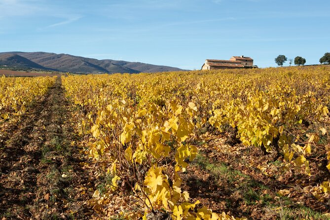 3-Day Rural Experience in the Valley of Ocón - Additional Information