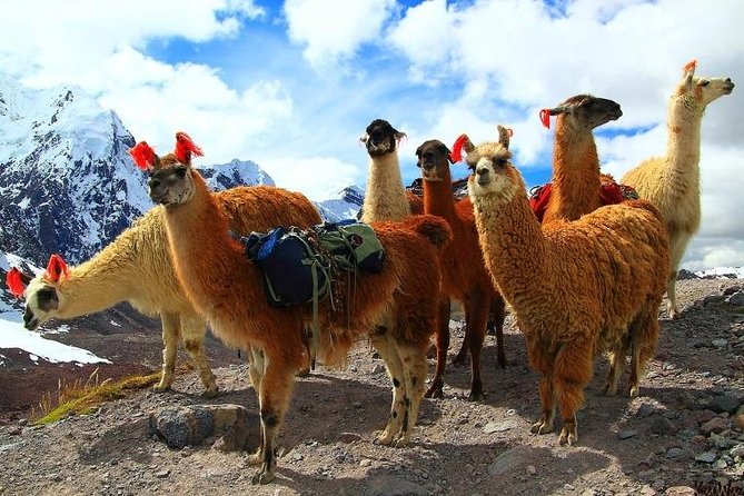 3 - Day Tour in Cusco, Sacred Valley With Machupicchu - Additional Considerations
