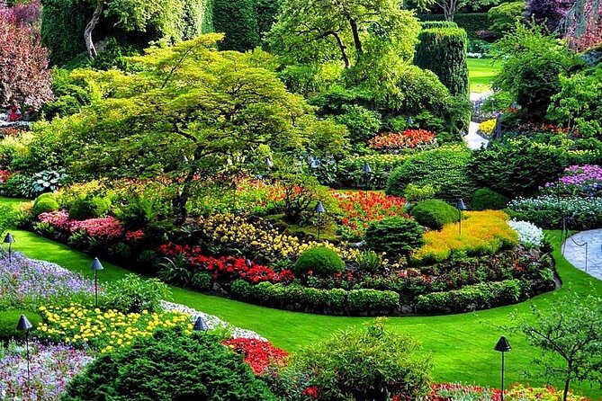 3-Day Tour to Vancouver Island W/ YVR Airport Pickup (Eng&Mandarin) - Additional Info