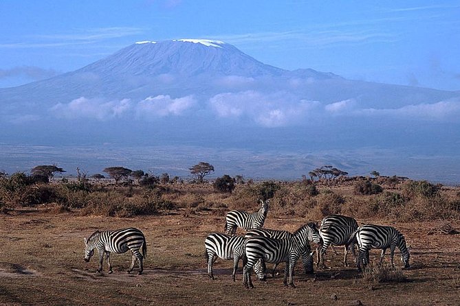3 Days Amboseli, Land of Kilimanjaro - Cancellation Information