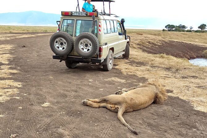 3 Days Exploring Serengeti & Ngorongoro Crater From Arusha - Frequently Asked Questions
