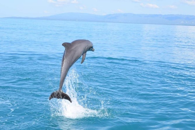 3-Days Jamaica Sightseeing Tour of Treasure Beach and Negril Departing From Kingston - Relaxing on Negrils Beaches