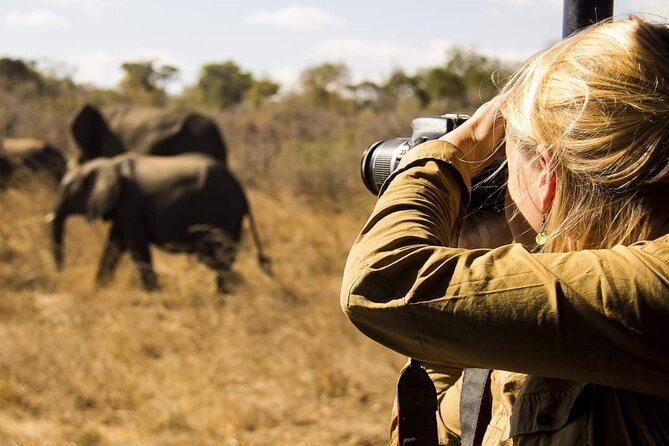 3-Days Lodge Safari in Tarangire, Ngorongoro Crater & Lake Manyara - Delectable Dining Experiences