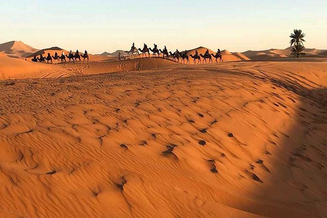 3 Days Luxury Desert Tour From Marrakesh Morocco - Getting to Marrakesh