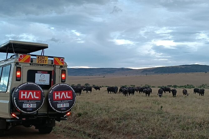 3 Days Maasai Mara Private Safari - Packing Essentials for the Safari
