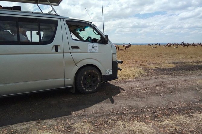 3 Days Masai Mara Joining Safari (lenchada) - Reviews and Testimonials