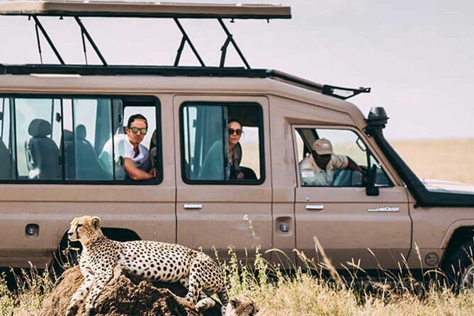3 Days Safari Ngorongoro Crater and Serengeti National Park - Reviews and Traveler Feedback