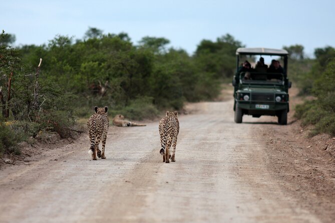 3 Days Tarangire, Manyara & Ngorongoro Budget Lodge Safari Tour Tanzania - Health and Accessibility