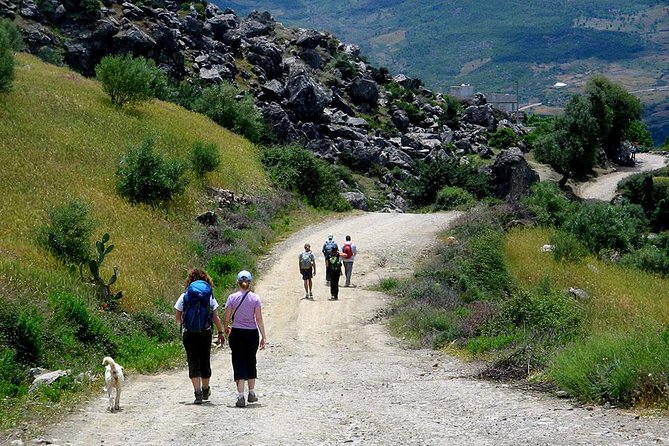 3 Days Trekking From Chefechaouen - Traveler Reviews and Recommendations