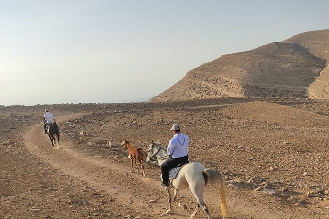 3 Hour Horse Riding Adventure Around the Petra Area - Preparing for the Adventure
