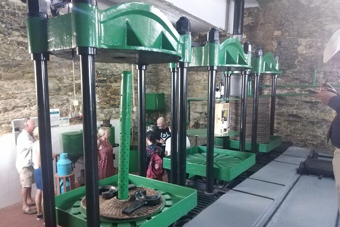 3-Hour Tour to Discover Pinhão - Moment of Discovery - Educational Aspects