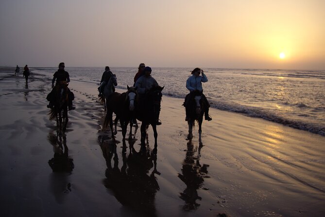 3 Hours Horse Riding in Essaouira, Beach, Forest and Dunes - Safety and Equipment Information
